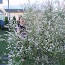 ���� ����, �������� - ��������� 3 ������� 2014 � ������ ������ ��������