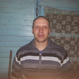 ���� ������, ���������, 43 ���� - ��������� 17 ����� 2014