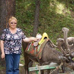 ���� Sandra, ����-���, 71 ��� - ��������� 4 ������� 2014