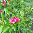 ���� �������, ������ - ��������� 29 ���� 2014 � ������ ��������.�