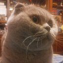 ��� ����� �� ������� ���� ����������