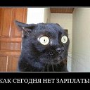 ���� ������, ������, 49 ��� - ��������� 1 ������� 2014 � ������ ��� �� ������� �����