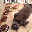 ���� �������, ��������� - ��������� 7 ���� 2014 � ������ ������ ��������