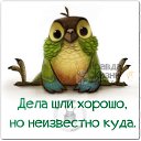 ���� �������, ����, 53 ���� - ��������� 22 ������� 2014 � ������ ������ ��������