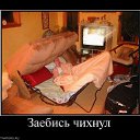 ���� ������, �������� - ��������� 1 ������ 2014 � ������ ������ ��������