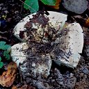 ���� �����, �����, 64 ���� - ��������� 6 ��� 2014 � ������ ������������ ������