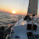���� ����������, ���������, 49 ��� - ��������� 13 ��� 2014 � ������ ������ ��������