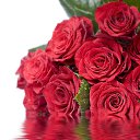 ���� ����* ����., ����� - ��������� 26 ��� 2014 � ������ ���� ����������