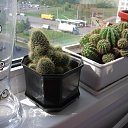 ���� �������, �����-���������, 67 ��� - ��������� 7 ���� 2014 � ������ �������