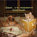 ���� Mr., ���������, 43 ���� - ��������� 2 ���� 2014 � ������ ������ ��������