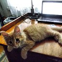 ���� �����, �����������, 38 ��� - ��������� 24 ���� 2014 � ������ ������ ��������