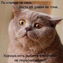 ���� ���, ������, 50 ��� - ��������� 18 ����� 2014 � ������ ������ ��������
