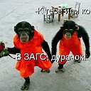 ���� ������, �������, 68 ��� - ��������� 7 ������ 2014 � ������ ������ ��������