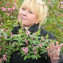 ���� �����, ��������, 54 ���� - ��������� 9 ���� 2014 � ������ ������ ��������