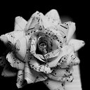    53., , 54  -  16  2014    