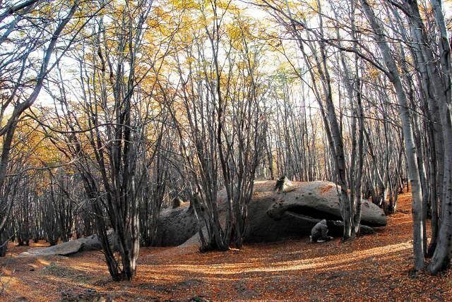 ������������ ��������� ������ ������ ����� � 2009 ���� ������ � ����������� �������� ����������� ... - 2