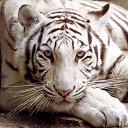 ���� �����, ������-���, 44 ���� - ��������� 14 ������ 2014 � ������ ������ ��������