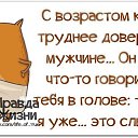 ���� �������, �������, 72 ���� - ��������� 24 ����� 2014 � ������ ������ ��������