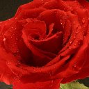 ���� Svetlana, ���������, 59 ��� - ��������� 29 ������ 2014 � ������ ������ ��������