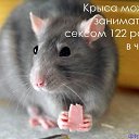 ���� �, ������ - ��������� 5 ������ 2014 � ������ ������ ��������