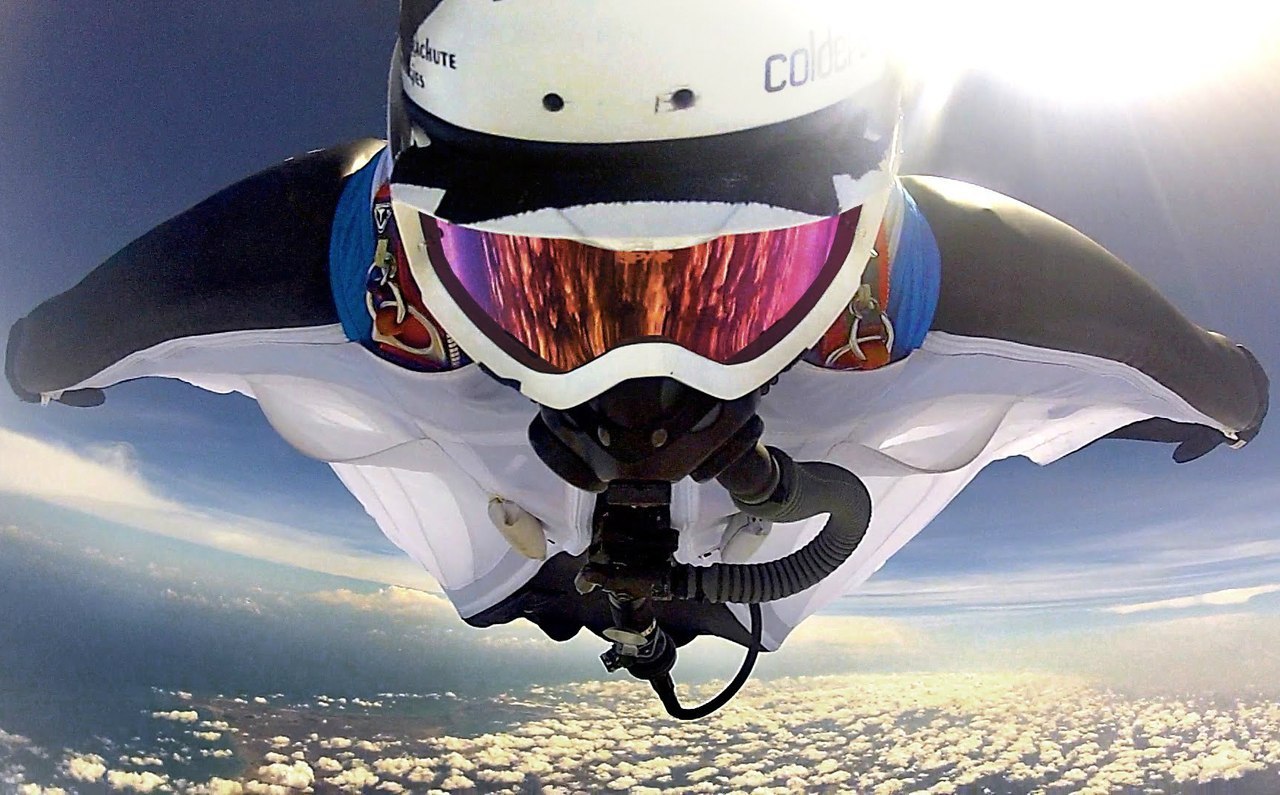 Wingsuit () -        . - 2