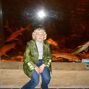 ����, ���. �����������.