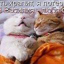 ���� �������, �����, 48 ��� - ��������� 4 ������ 2014 � ������ ������ ��������