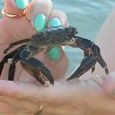 ���� ����, ������ - ��������� 30 ���� 2014 � ������ �����