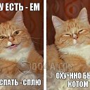 ���� �������, ������, 51 ��� - ��������� 27 ���� 2014 � ������ ������ ��������
