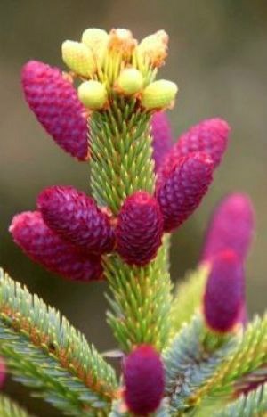 Любите тех, кто просто рядом, кто не посмеет изменить, кто согревает теплым, нежным взглядом - кто ... - 2