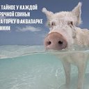 ���� ���������, �����-��������� - ��������� 11 ������� 2014 � ������ ���� ����������