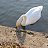 ���� Dima, �����, 49 ��� - ��������� 18 ������ 2014