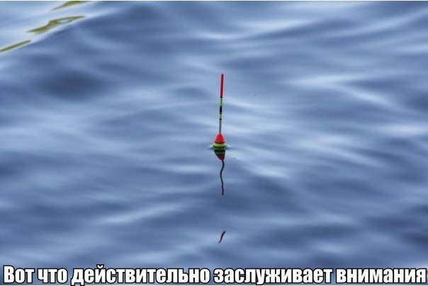 ����������� (18+) - 22 ��� 2014 � 01:46