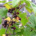   , , 47  -  16  2014   Untitled Album