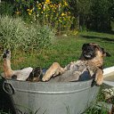 ���� �������, �����-���������, 74 ���� - ��������� 23 ���� 2014 � ������ ������ ��������