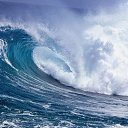 ���� ������, ��������� - ��������� 31 ��� 2014 � ������ ��� ������ ������