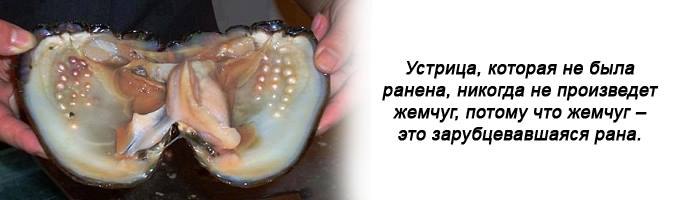 Один из принципов жизни — принцип жемчужной раковины. Когда в раковину попадает песчинка, то она ...