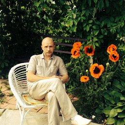 ���� �����, �����������, 56 ��� - ��������� 22 ���� 2014