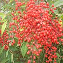 ���� �������, ���������, 62 ���� - ��������� 5 ������� 2014 � ������ ���� ����������