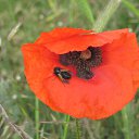 ���� ������, ����� - ��������� 7 ��� 2014 � ������ ���� ����������