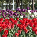 ���� ������, �����-��������� - ��������� 14 ��� 2014 � ������ ������ ��������