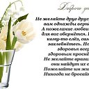 ���� �����, ������, 53 ���� - ��������� 15 ������ 2014 � ������ ���� ����������