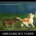 ���� ����, �����-���������, 40 ��� - ��������� 21 ��� 2014 � ������ ������ ��������