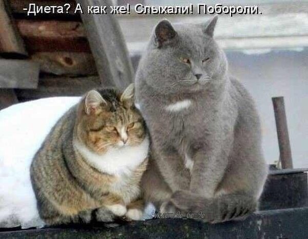 ���� � ������� - 11 ���� 2014 � 16:22