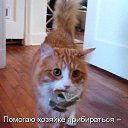 ���� ��������, ������������, 31 ��� - ��������� 31 ����� 2014 � ������ ������ ��������