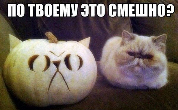 �������������� �� ���� �������� <a href=