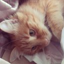 ���� �����, �����������, 38 ��� - ��������� 24 ���� 2014 � ������ ������ ��������