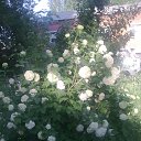 ���� �������, ����� - ��������� 20 ��� 2014 � ������ ���� ����������