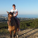 ���� �����, ����������, 42 ���� - ��������� 22 ���� 2014 � ������ ���� ����������