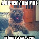 ���� �����, ��������, 38 ��� - ��������� 13 ������ 2014 � ������ ������ ��������